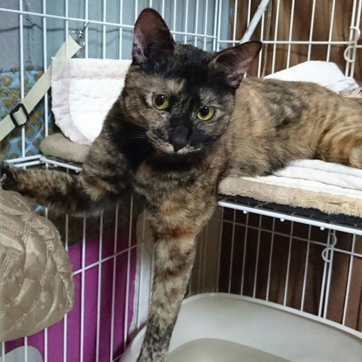 23e682d3 cb63 44c6 a5e2 99dce8809b69