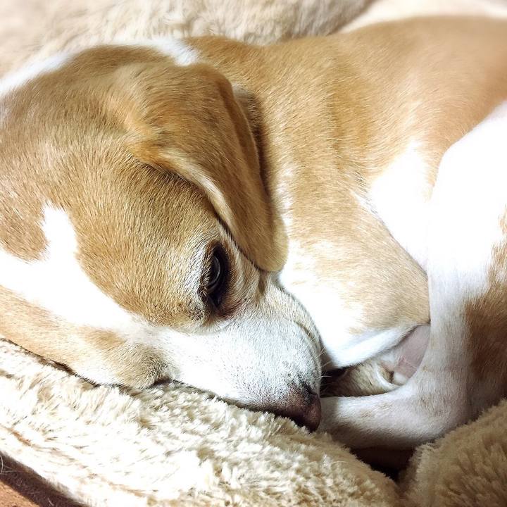 23e6d902 afb3 476f 8a07 f2fc28a62c53