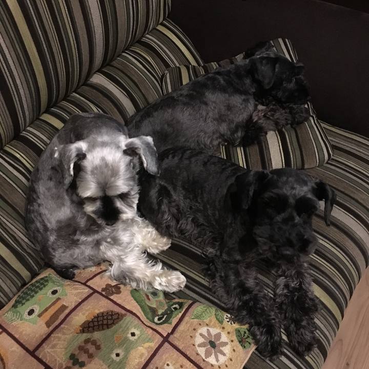 23e79577 99ad 4e10 aa44 2d48958858bc