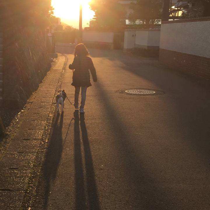 23e79eaa a71d 462d b8e7 b23edbf34652