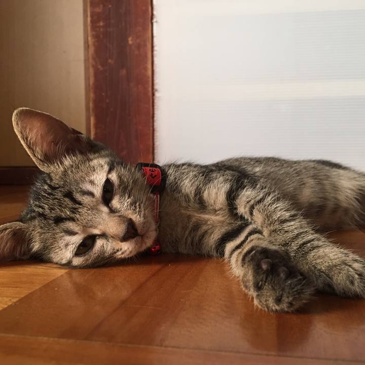 23e87f28 cf32 4303 8171 362438bb15f4