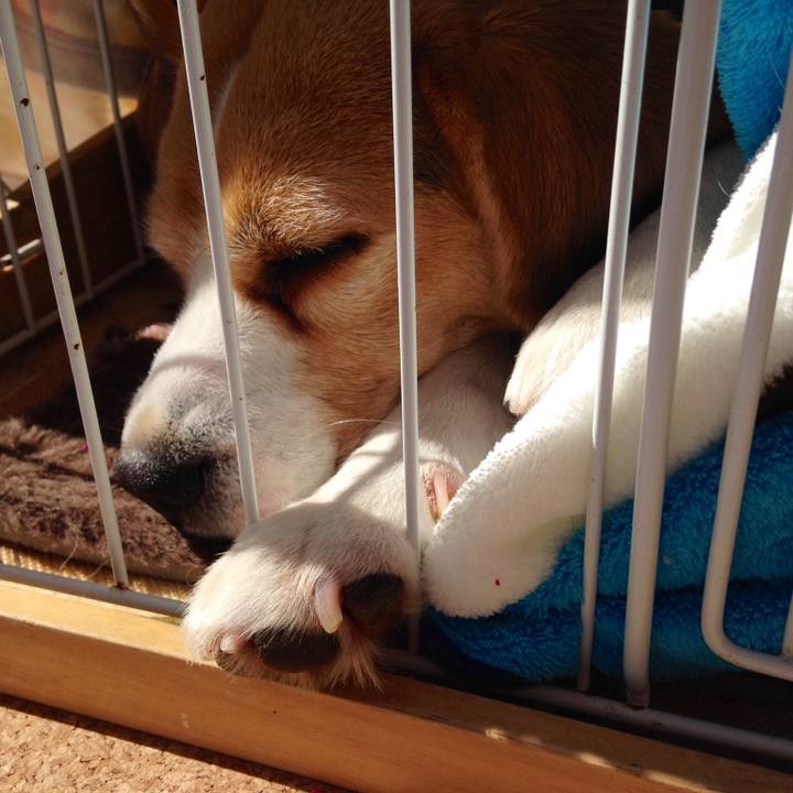 23e8b9a9 c947 4bce a7b7 dc6efa067f3c