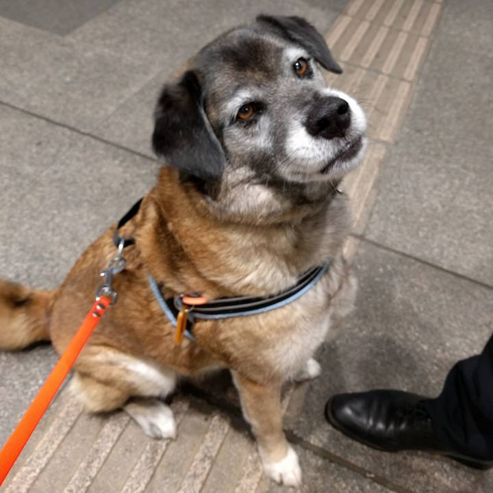 23e8c90d 262e 4cea 85b6 9df07ef2f4f9