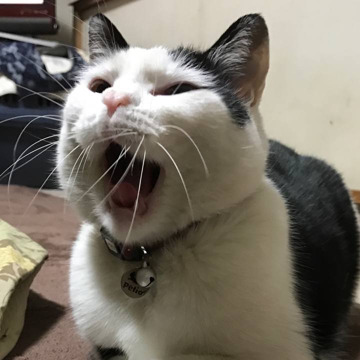 23ea2bc7 a26c 4480 8d94 fbcb68e7008e