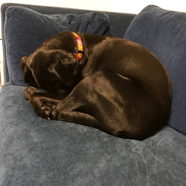 23ea5a64 d92a 4a40 a42b aa5a0b59ef0d