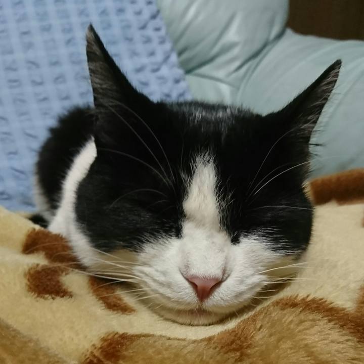 23eab9c6 7bd0 4280 b188 0e5820185f72