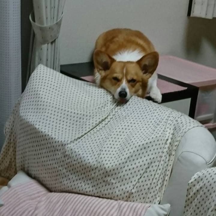 23eb0faa 006b 409d 92bb 2faf24137daf