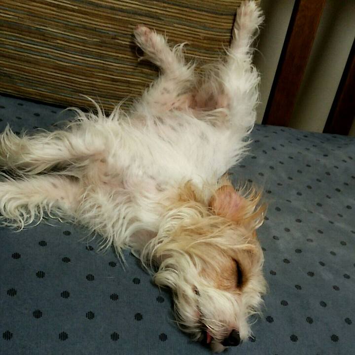 23eb23e3 daf4 4795 9e5b c0ac9d1419fa