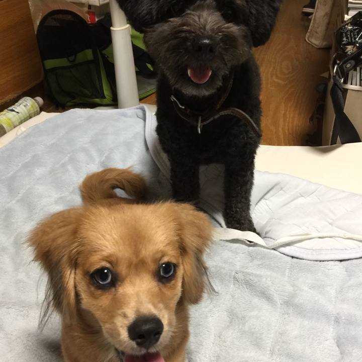 23eb399d 07cf 40fb b5b8 97f9de1d1e04