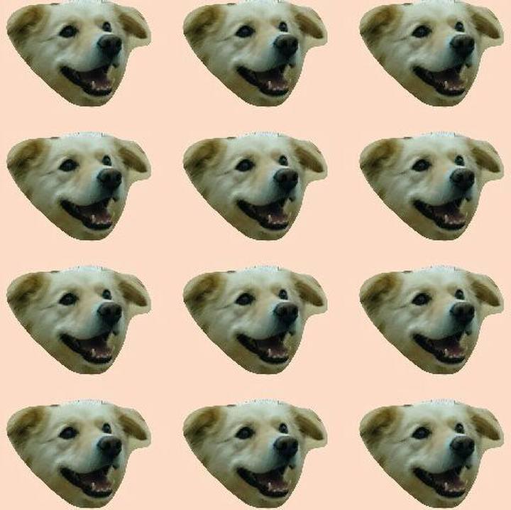 23eb4523 2060 4e5e 8341 d8ad552cf253