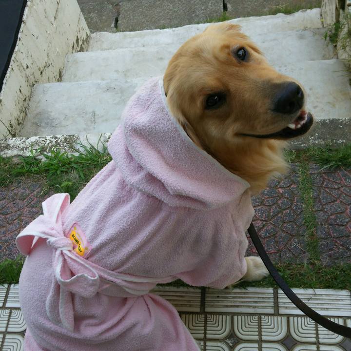 23ed1375 1ba5 4ca6 bfbd a0949da27435