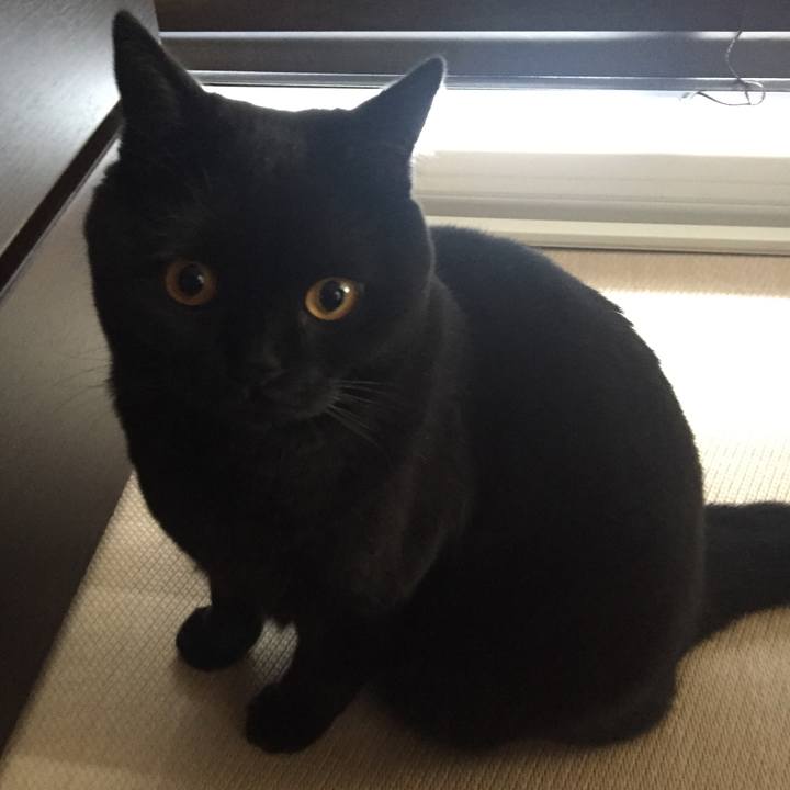 23eda7e7 60cb 4fb1 a0a1 30a437cf82de