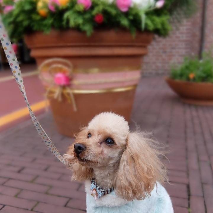 23edaa30 433d 4192 87e5 087ec14f024d