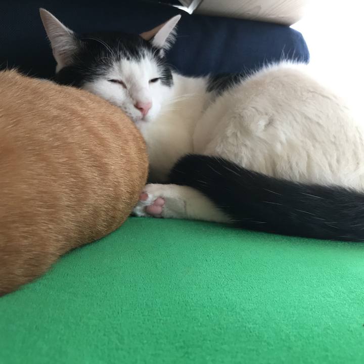 23edbebb 5c76 4d7f bcfd b6cf275d85e1