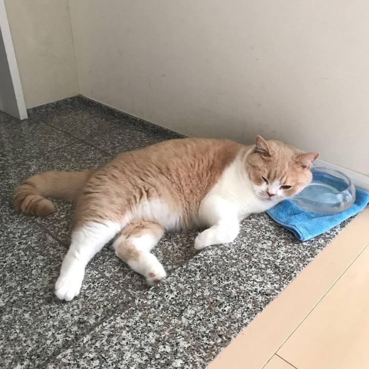 23ee04cf 58a7 4dd4 b9d3 16c1b170346b