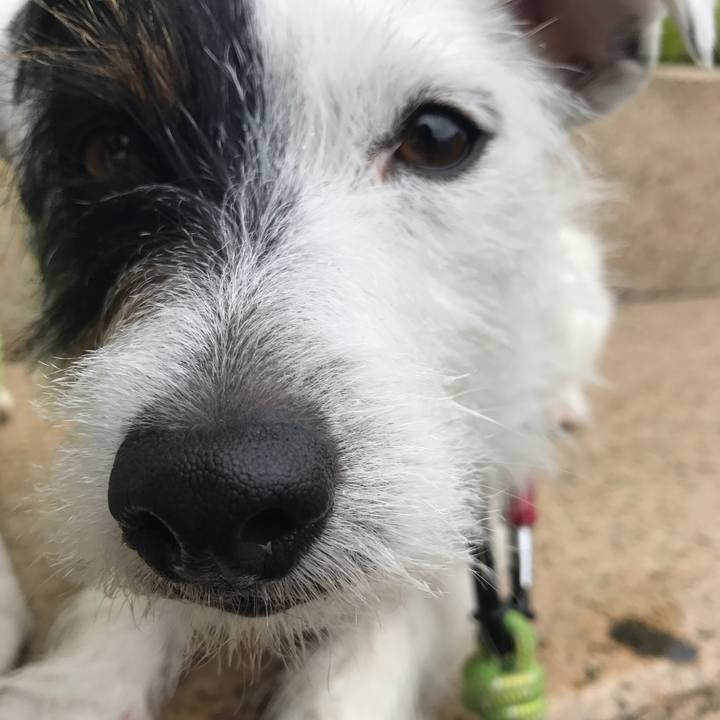 23ee3037 5e22 49fa adc0 2b4ac60eba91