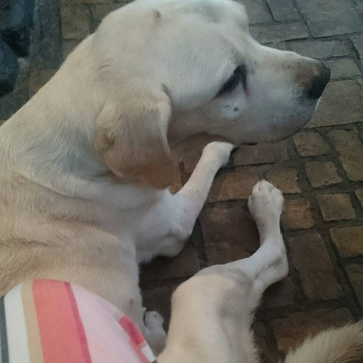 23ee4c53 a8dd 44ff 93c2 ab93108dd0a5