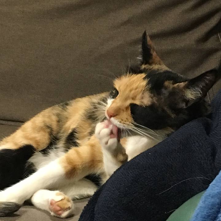 23ee680c 6359 4393 8375 ee2a9ee9d7dd