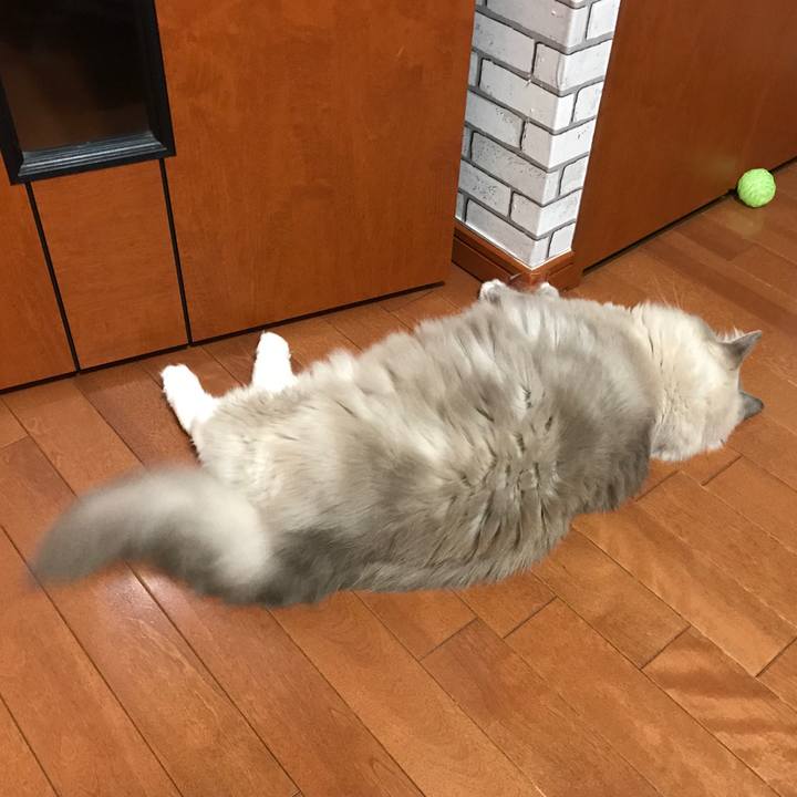 23eeff62 7007 47ac 911f 8ddf3bdf8b09