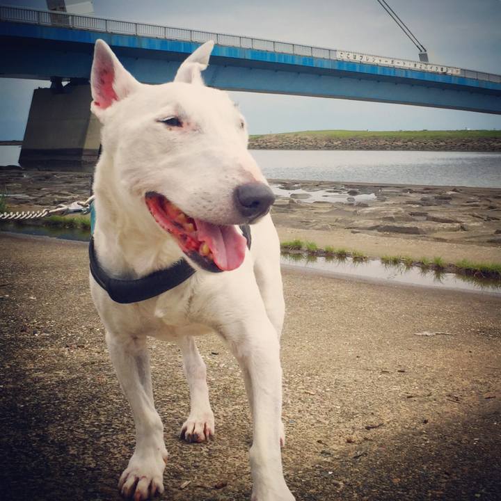 23ef4f13 893a 4fe6 8c7e c28882891e28