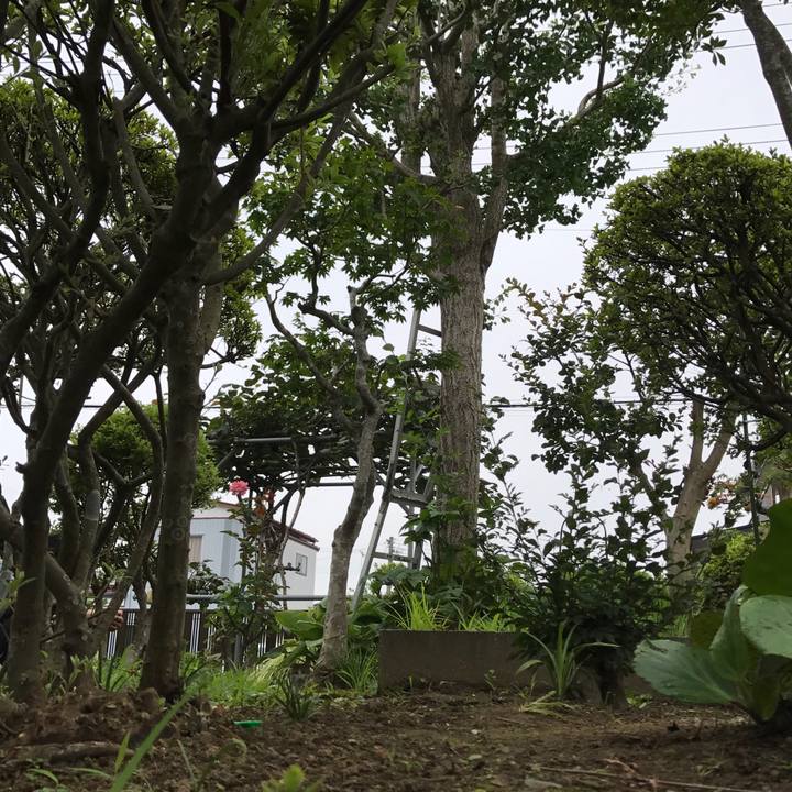 23ef890b cee3 45f3 82a1 fa89e206d733