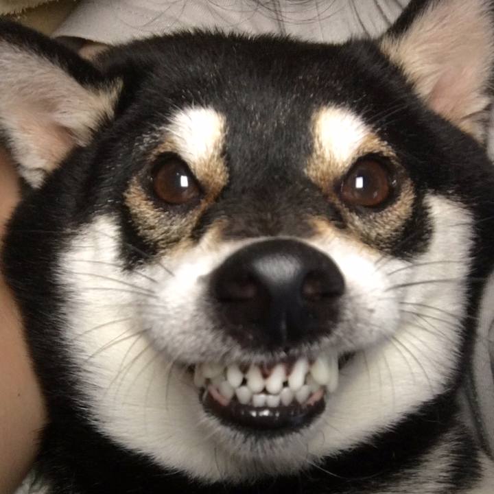 23efa657 a5e6 4579 9521 e744ae9f5499