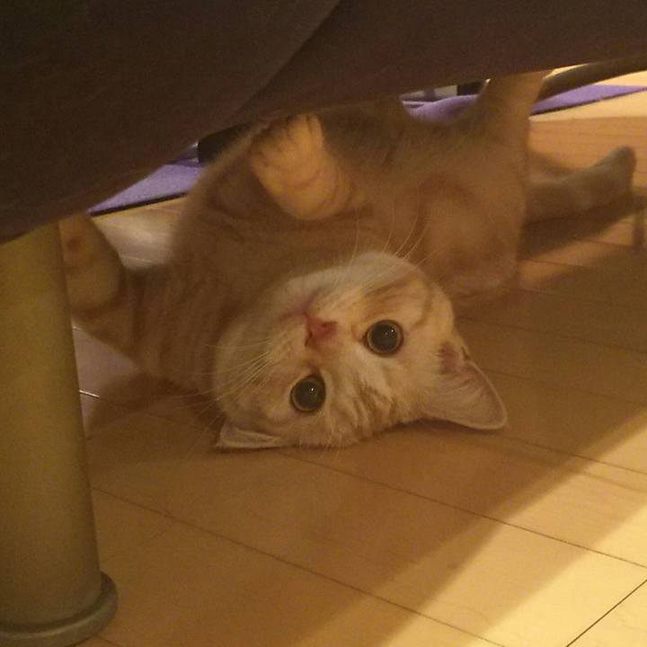 23efc6bd 61b8 4022 a3db 7a568e92bc3e