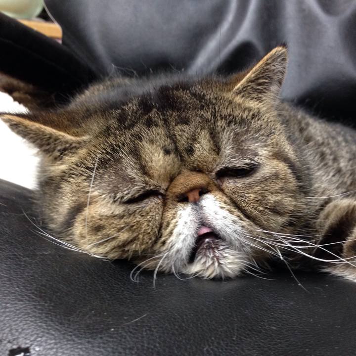 23f01c2c d3be 4f61 9826 aa1bec1a2f44