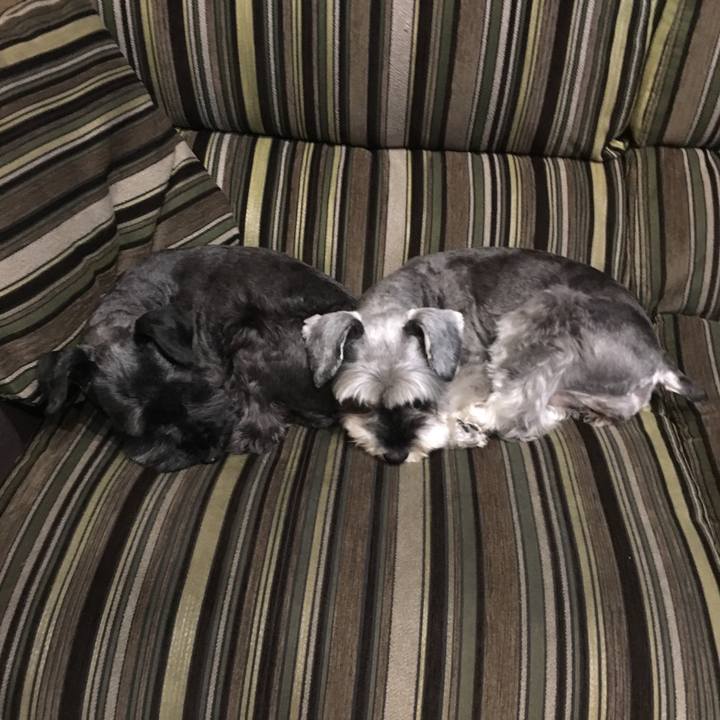 23f0e22e 0763 4c33 bdad e85721b20b57