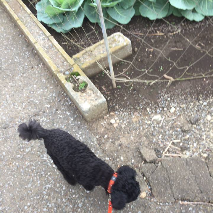 23f1111f 86d9 49f1 9cee 4baca20680ac