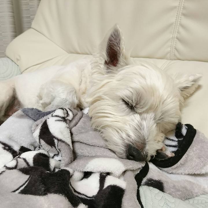 23f11448 ca28 4764 b144 6692d9873850