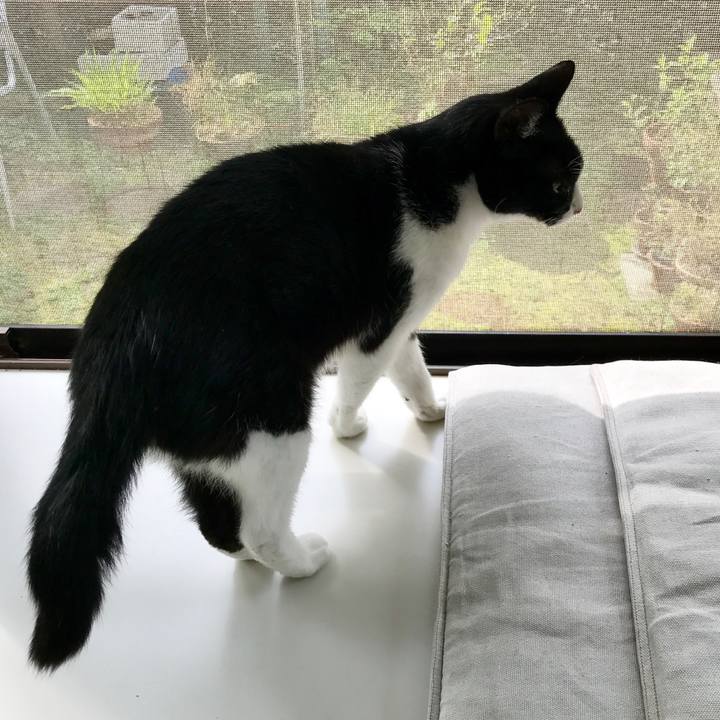 23f12e38 6cb9 4ee4 8db3 efccb4cb1bd9