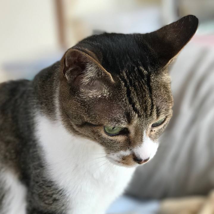 23f17f83 c3b7 4fbe 87ce 41d0bcdbe456