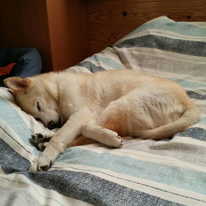 23f1e9ec 1ba5 40de b0e2 b353515d73fb