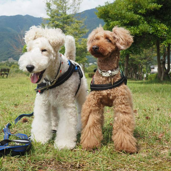 23f25708 9482 46e3 be33 9a8b1226e5ac