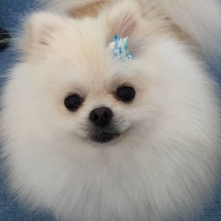 23f28ae8 bb8c 4174 8f39 29a9e2facf1b