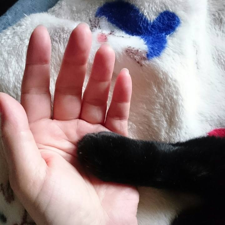 23f29728 9ea3 4349 914f e0207a680213