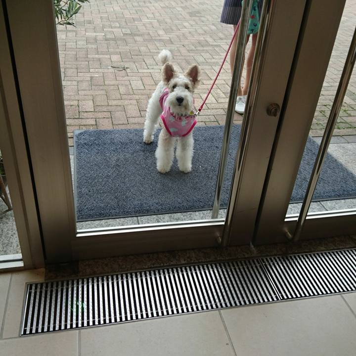 23f2d023 6c73 4118 bc34 06f52a02eb33