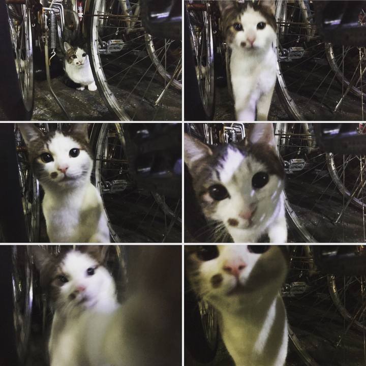 23f2ddd5 da83 4987 b208 5b59cad61d29