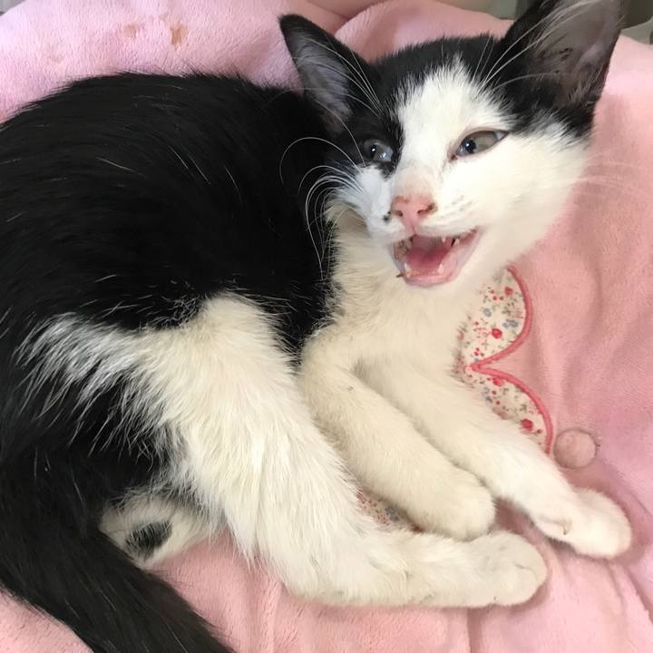 23f303c3 cefa 446e b21e 432860606338