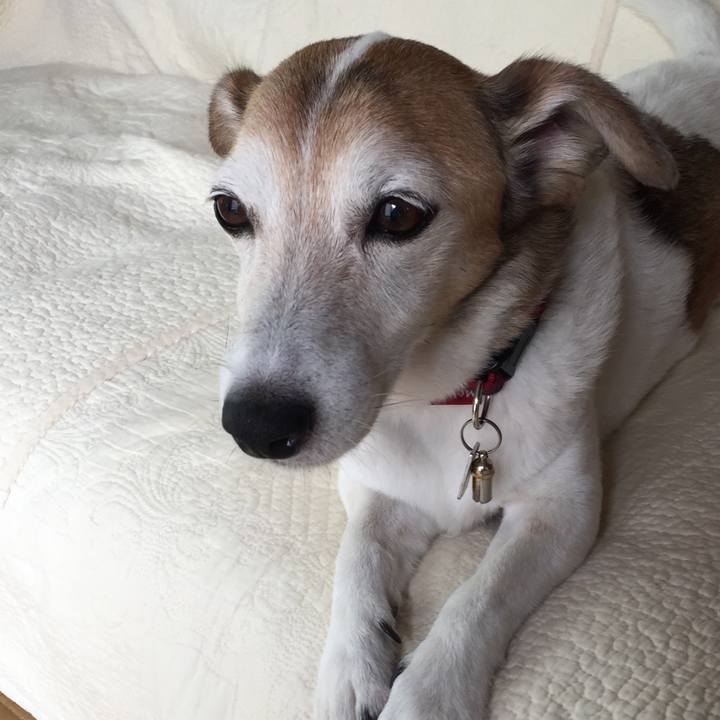 23f336d0 c6ab 41d3 a25a e520c0821f05