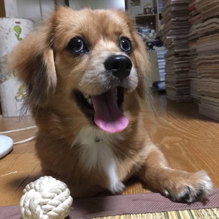 23f3536d c79b 454c 8b98 fc3563869e17