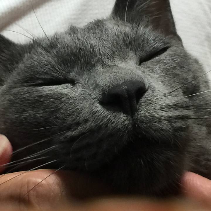 23f3e584 20c5 41ff 9777 6a0896f56959