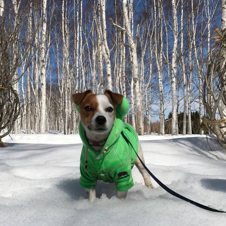 23f50b59 298e 4730 9de2 ba2f33de3b49