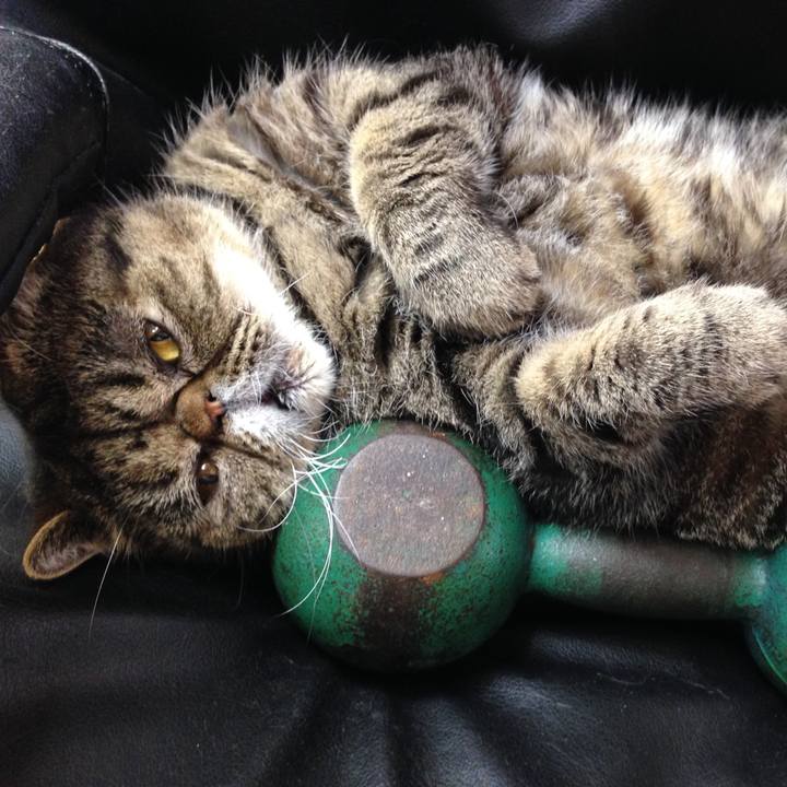 23f6db7b ce40 46f2 9a23 50a0942d3f60