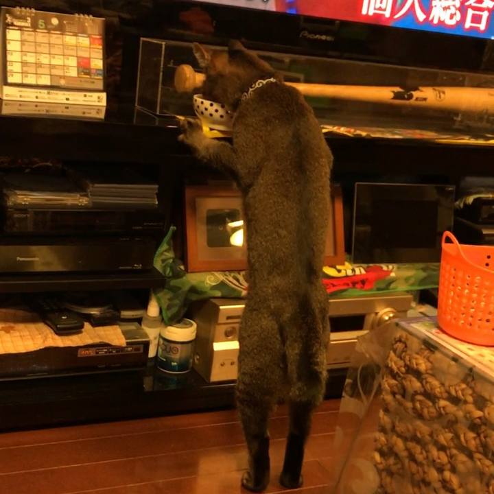 23f8885f 0c51 45f0 9d08 a5623dbcf84a