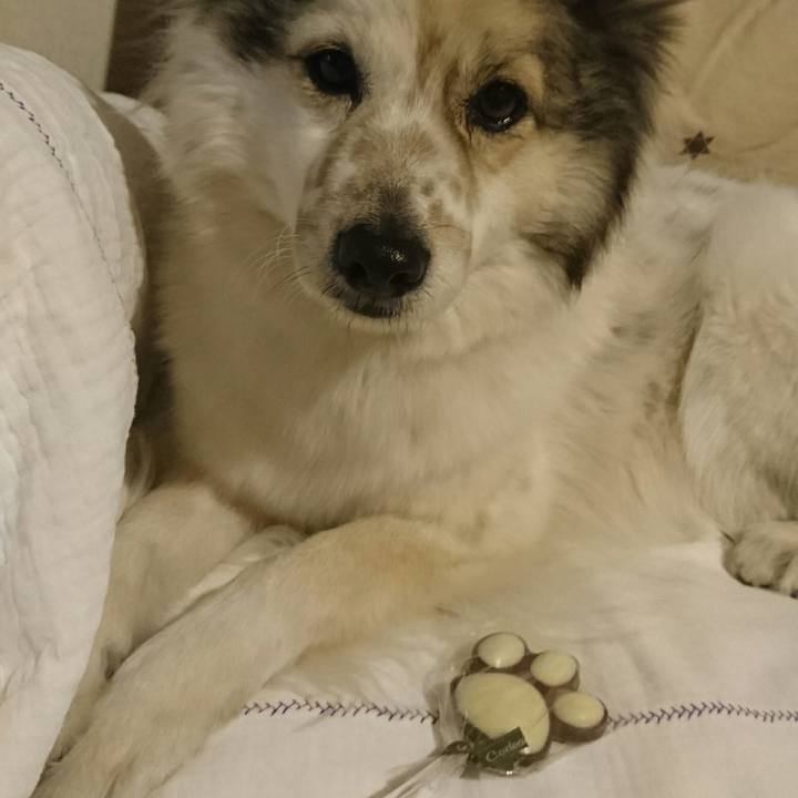 23f9156a d651 41da a38e 9fda3ab62a8e