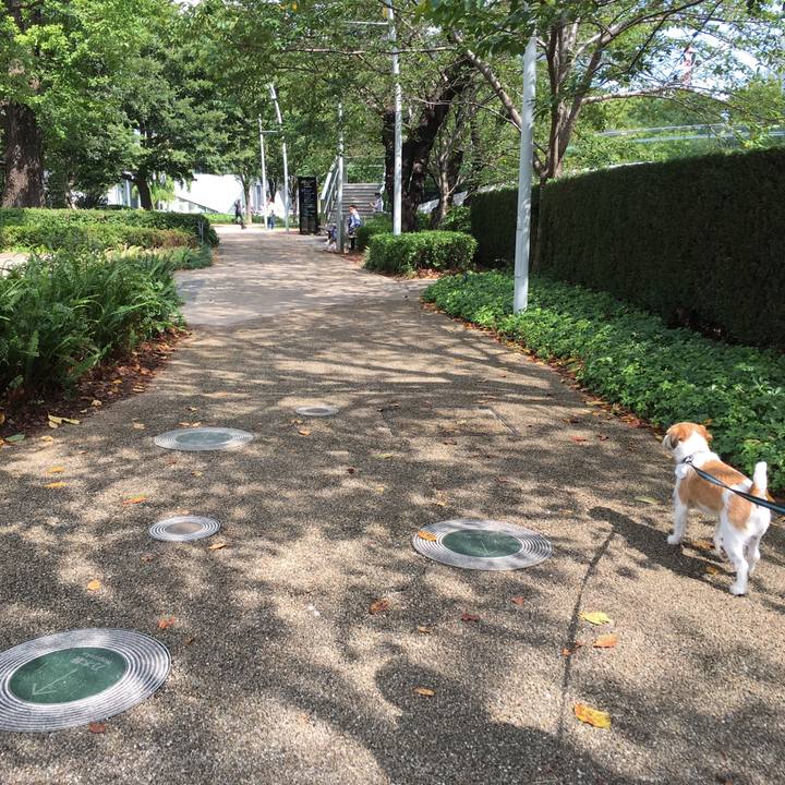 23f99987 3043 4e77 a623 413c571cafb4