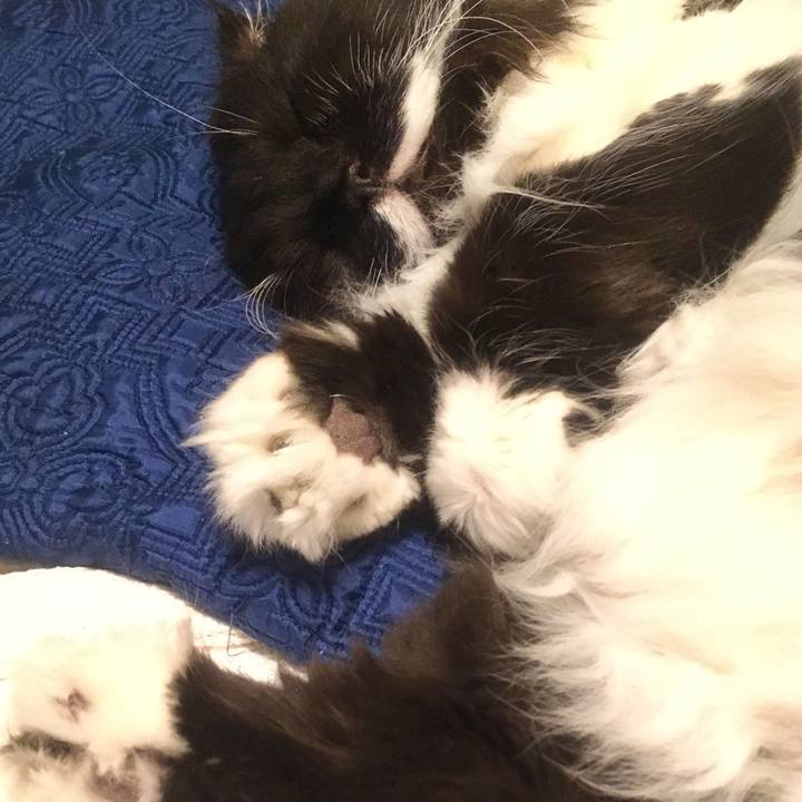 23f9b679 3a3f 4ee6 8393 e95af649c725