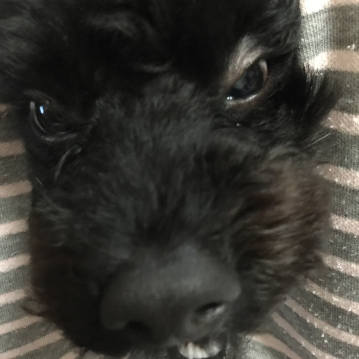 23f9ce37 3530 4401 ac3c 42bd5c620125